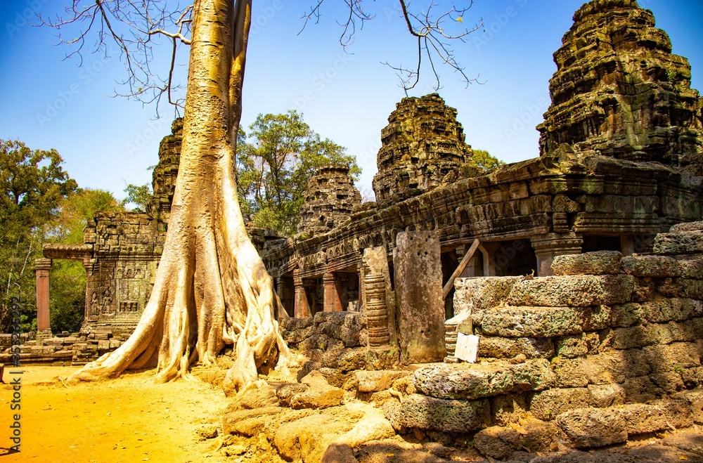 Fototapeta premium Piękny widok na świątynię Angkor Wat w Siem Reap w Kambodży.