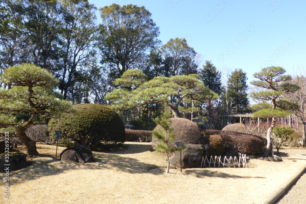 日本庭園を思わせる千葉県、市川市、万葉植物園、日本の庭 日本庭園を思わせる千葉県、市川市、万葉植物園、日本の庭