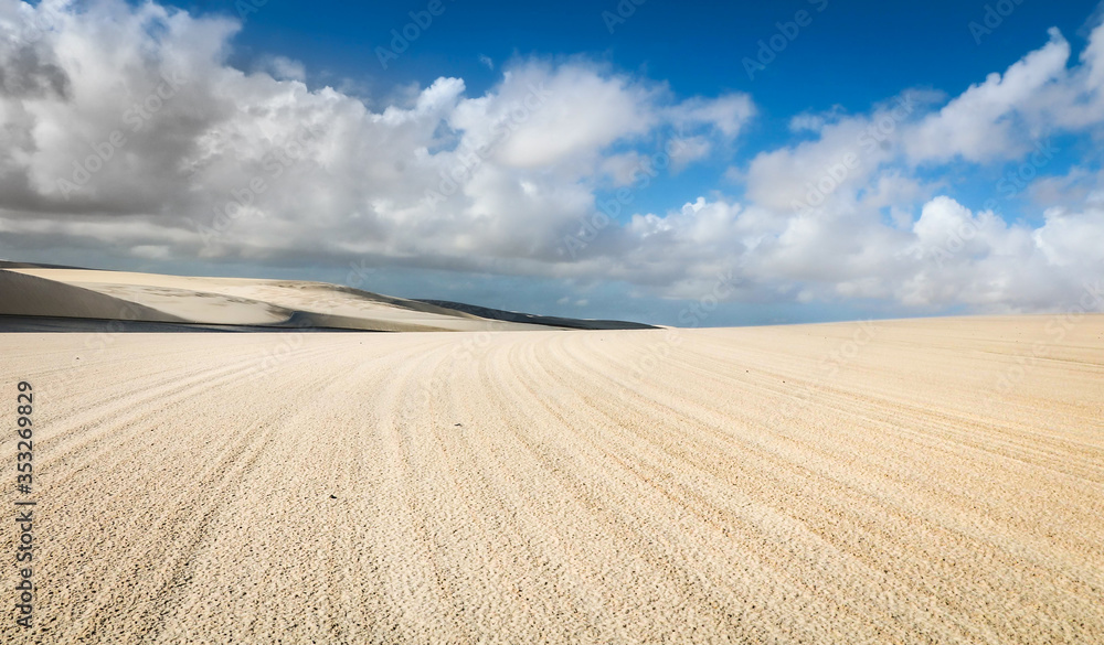 Fototapeta premium Curvas dos Lençóis Maranhenses