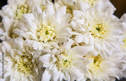 Fresh flower arrangement designed by a professional florist