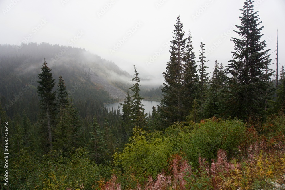 Obraz premium Foggy lake view