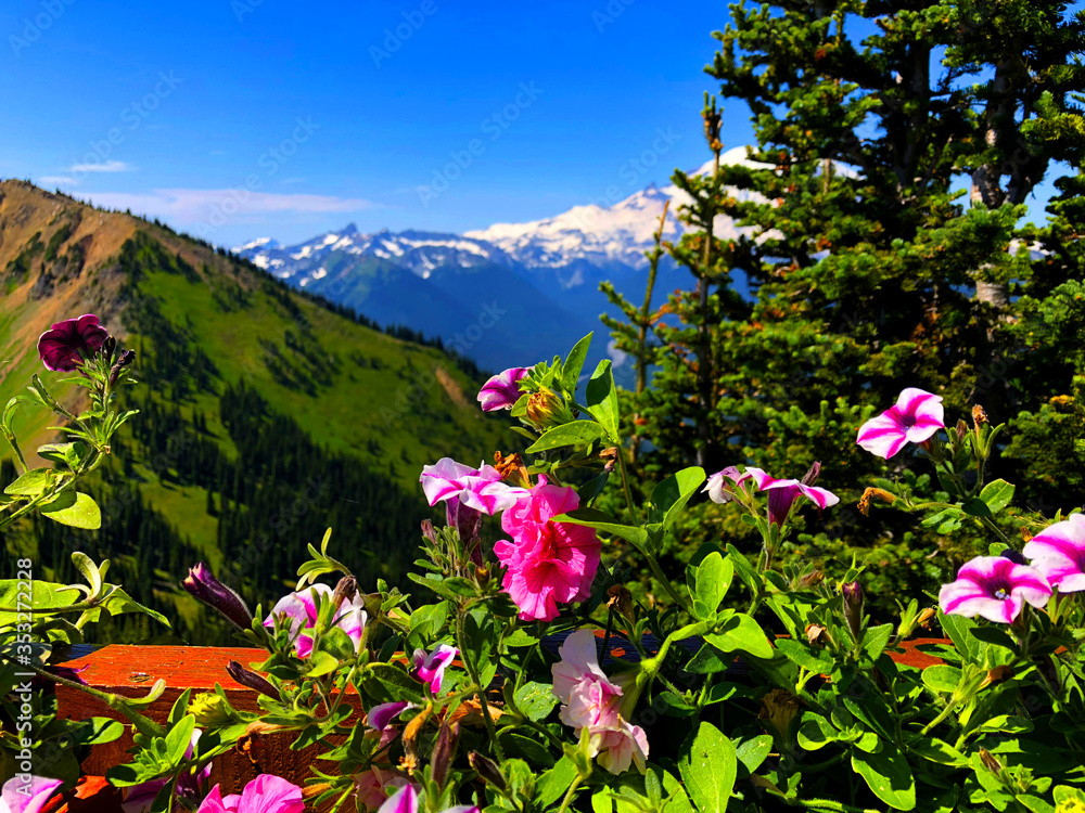 Obraz premium Crystal Mountain Summit in Washington state