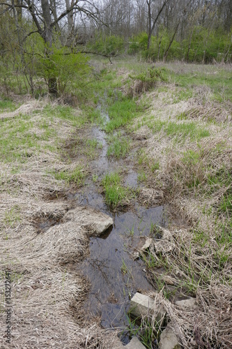 Принти на полотні Water runoff stream flowing through grassy field