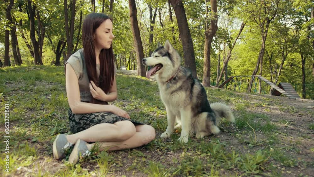 An Attractive Young Blonde Woman Play With Purebred Siberian Husky Dog, In Park, A Bright Sunny Day. The Concept Of Friendship, Care, Human And Animal Help An Attractive Young Blonde Woman Play With Purebred Siberian Husky Dog, In Park, A Bright Sunny Day. The Concept Of Friendship, Care, Human And Animal Help