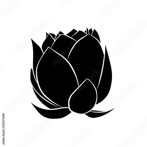 Lily lotus water flower black and white vector