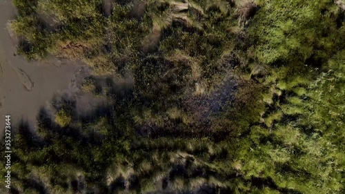 Aerial View of Puxadouro near the Aveiro Lagoon at Ovar, Aveiro, Portugal photo