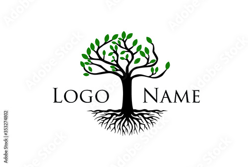 tree with roots logo template