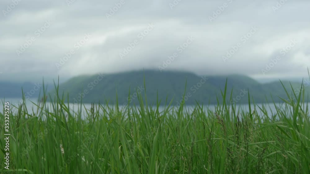 草原と湖 草原と湖