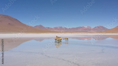 Aerial shot at Polques hot springs - South of Bolivia.