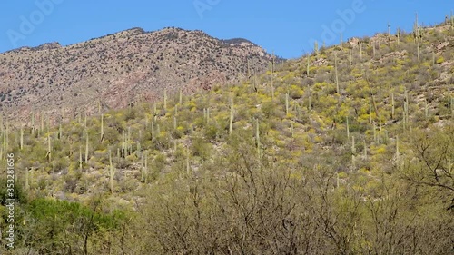 mountain landscape with blue sky