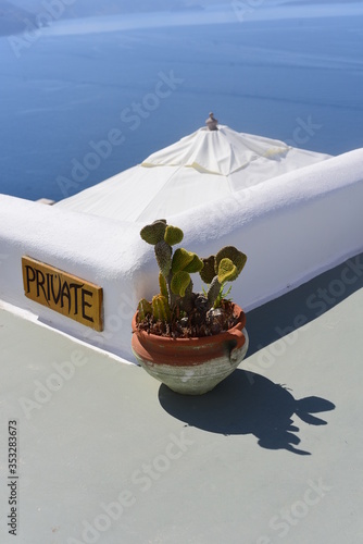 cactus sitting in front of private sign.