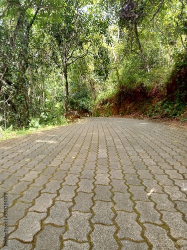 footpath in the park