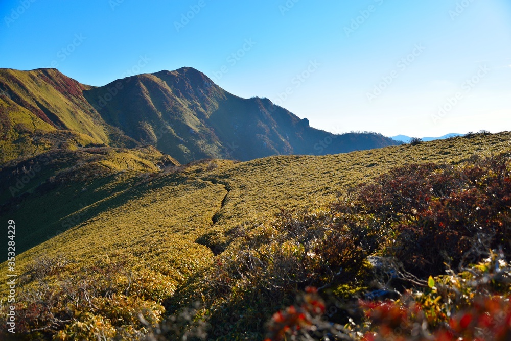 高知県と徳島県にまたがる三嶺（みうね、さんれい）は、標高1894ｍの日本二百名山である。高知県の最高峰。全国的な知名度は低いが、地元登山者の中では、「四国で最も美しい山」と言われている。