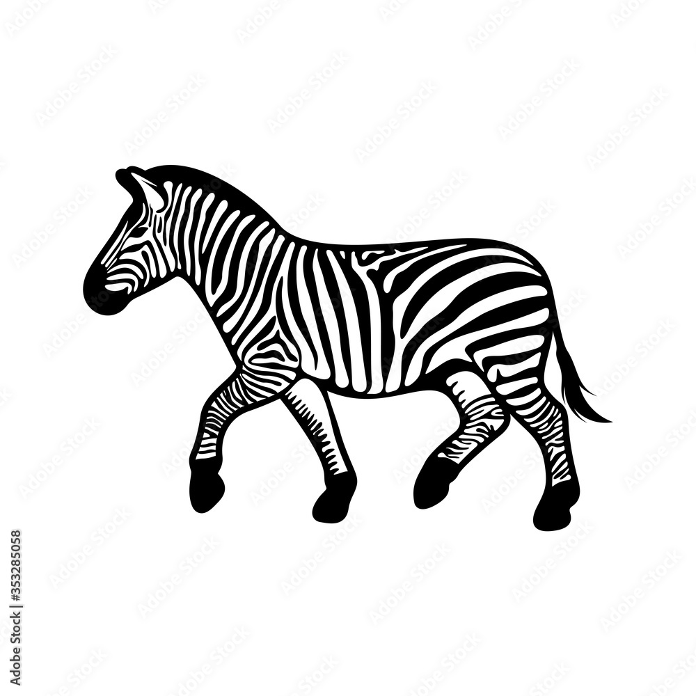 Naklejka premium Graphical zebra isolated on white background, Vector illustration, Template