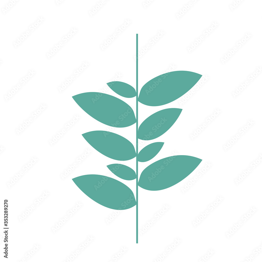 branch with ecology nature leafs foliage branch with ecology nature leafs foliage