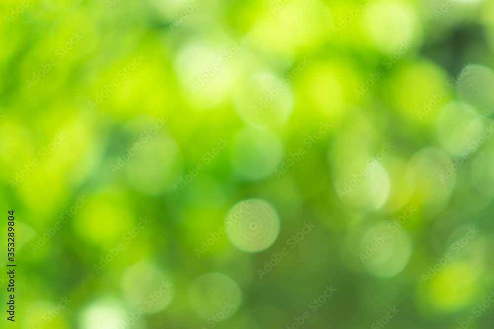 Bokeh from natural light is green with beautiful colors. Bokeh from natural light is green with beautiful colors.