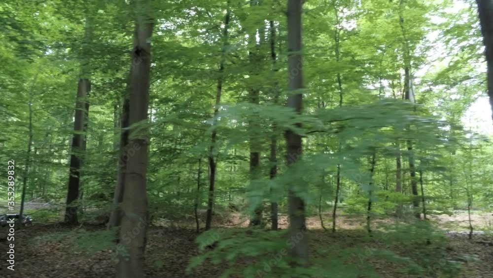 Horizontal aerial pan of a small car driving through the woods. Forest in spring.