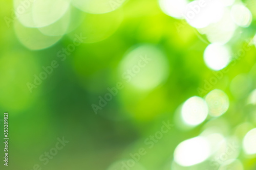Bokeh from natural light is green with beautiful colors.