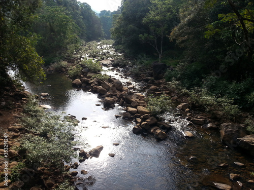 river in the forest