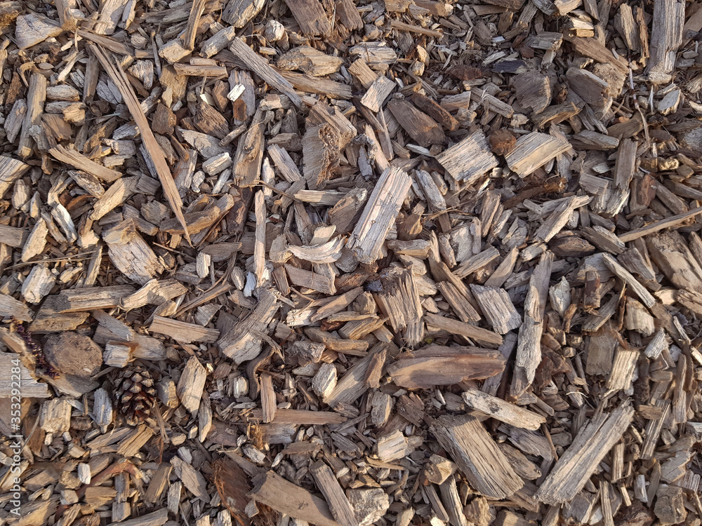 Wood sawdust background. Wood sawdust in the forest. Texture background of sawdust Wood sawdust background. Wood sawdust in the forest. Texture background of sawdust