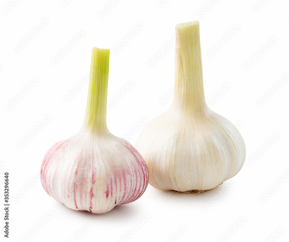 Obraz premium Garlic on a white background