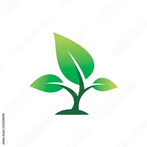 green nature leaf plant tree logo design