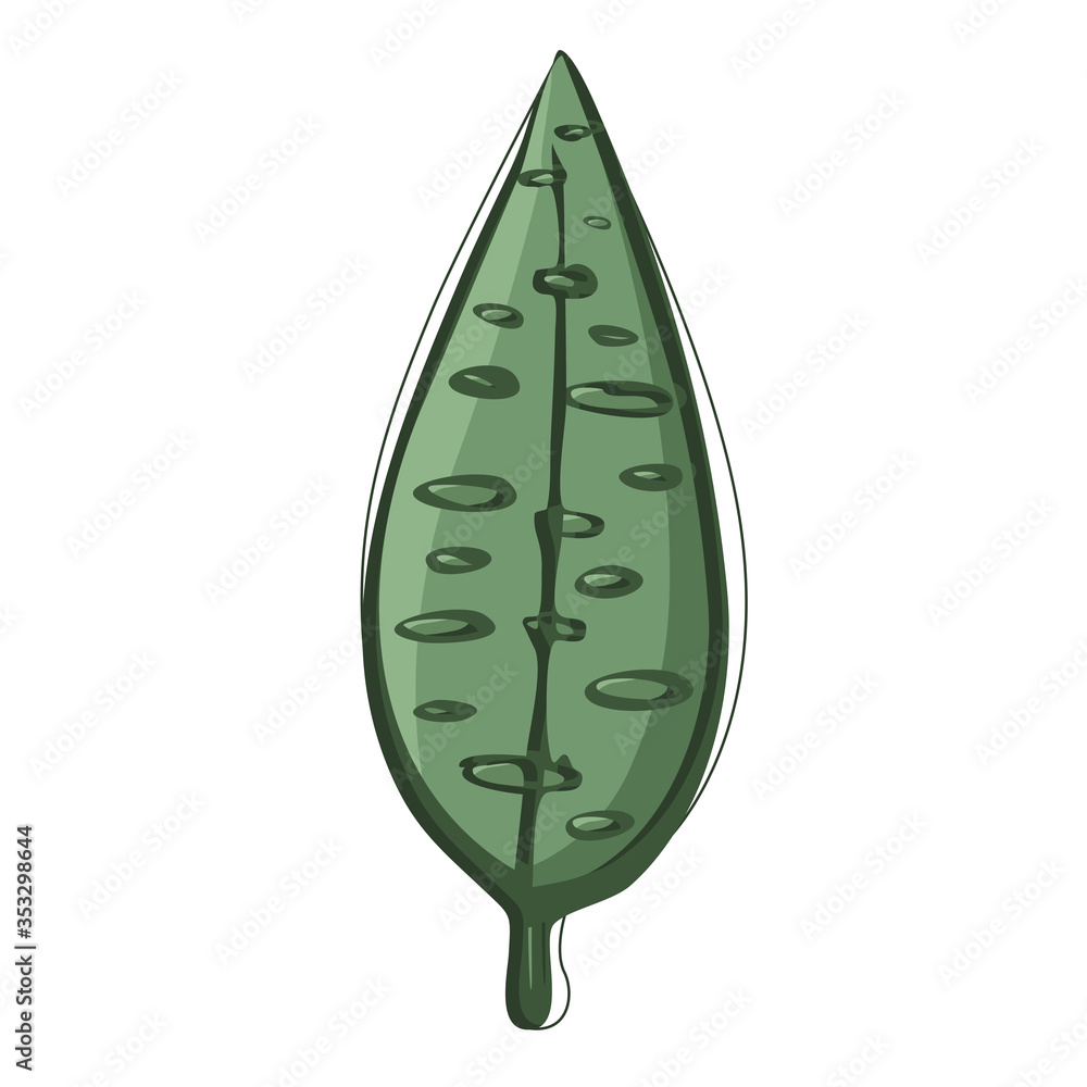 Leaf of a green plant volumetric vector image Leaf of a green plant volumetric vector image