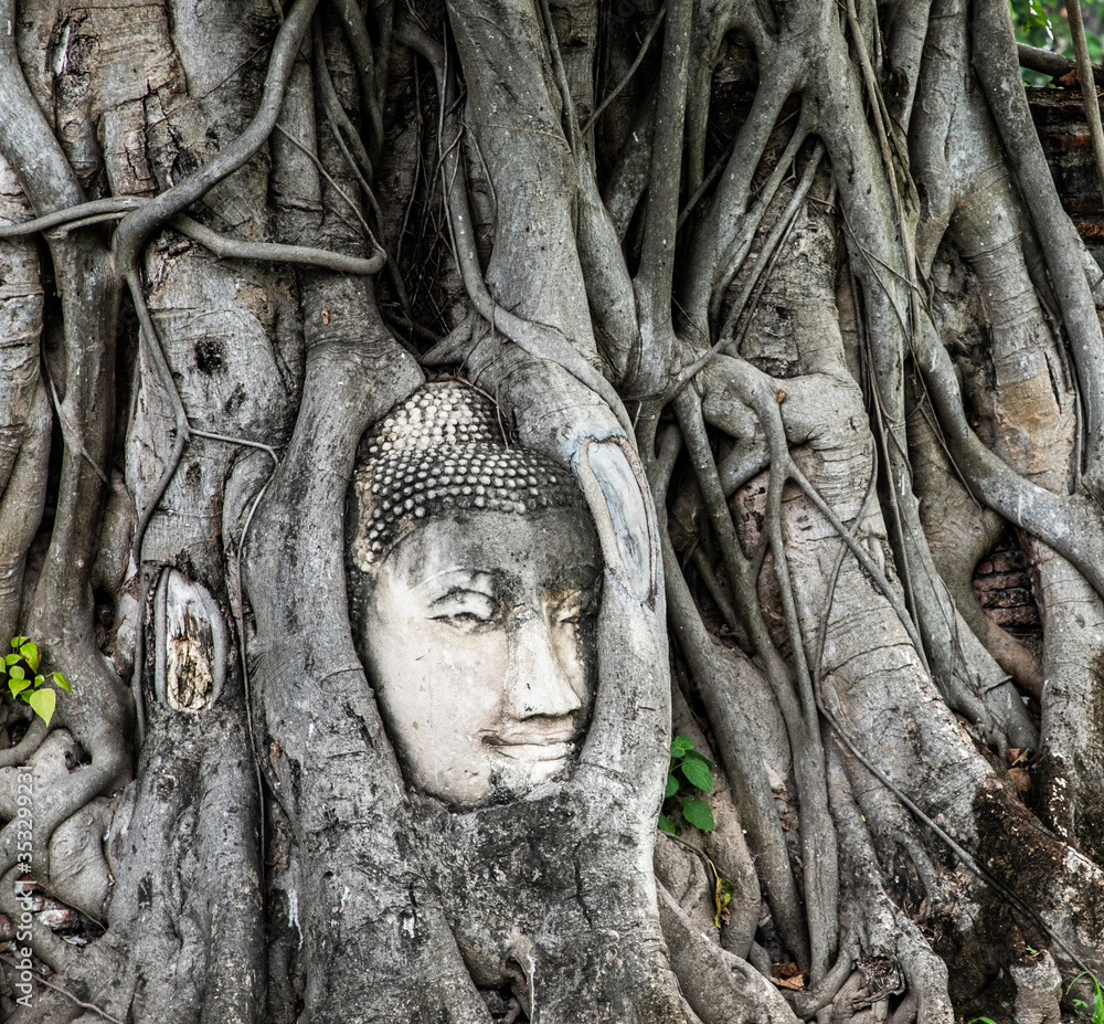 Ayutthaya Buddha Head statue with trapped in Bodhi Tree roots at Wat Maha That, Ayutthaya historical park, Thailand