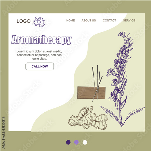Aromatheraphy, natural organic aroma herbs oils website template, vector illustration. Herbs and roots for essential oils, aromatic plants and flowers.