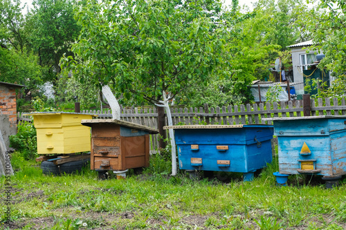 Bee hives in the garden. Apiculture concept, honey industry.