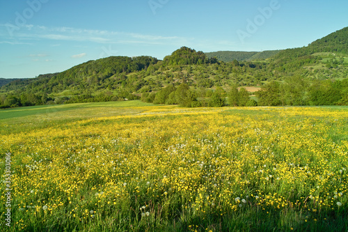 Blütenmeer