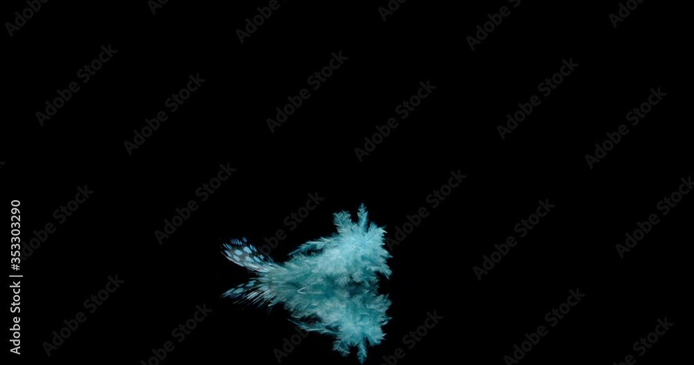 falling blue feather drifting slowly onto a reflective surface. falling blue feather drifting slowly onto a reflective surface.