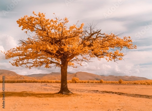 Infrared landscape 590 nm