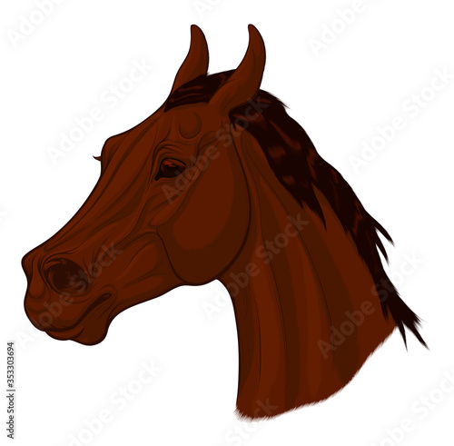 Portrait of a running sorrel horse with ears laid back. Image of a young stallion. Vector clip art for stud farms and equestrian clubs.