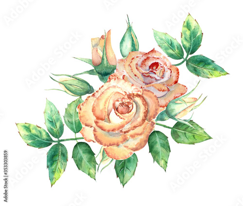 Peach roses, green leaves, open and closed flowers. A bouquet of flowers for ...