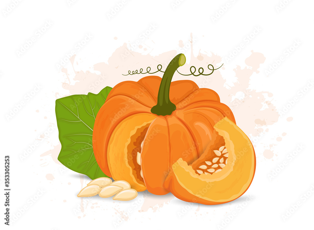 pumpkin vector illustration with pumpkin leaves pumpkin vector illustration with pumpkin leaves