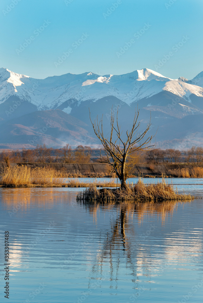 Carpathian mountains range covered in snow reflected in water, tree island on blue water, sunset over the fagaras mountain, Sibiu, Romania