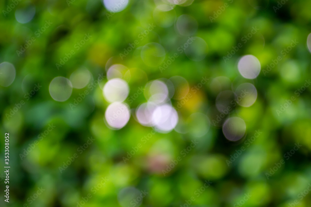 Obraz premium green cicle bokeh abstract background