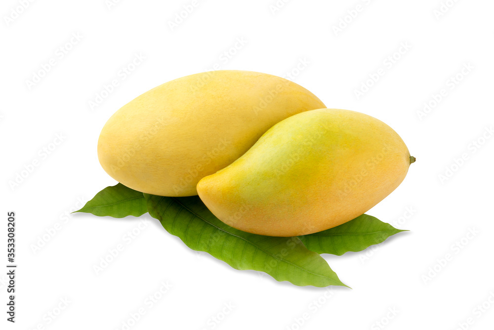 Yellow mango with leaves isolated on white background