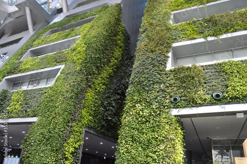 Photography City Hall Beautiful Green Indoor Hanging Garden in Seoul, Korea