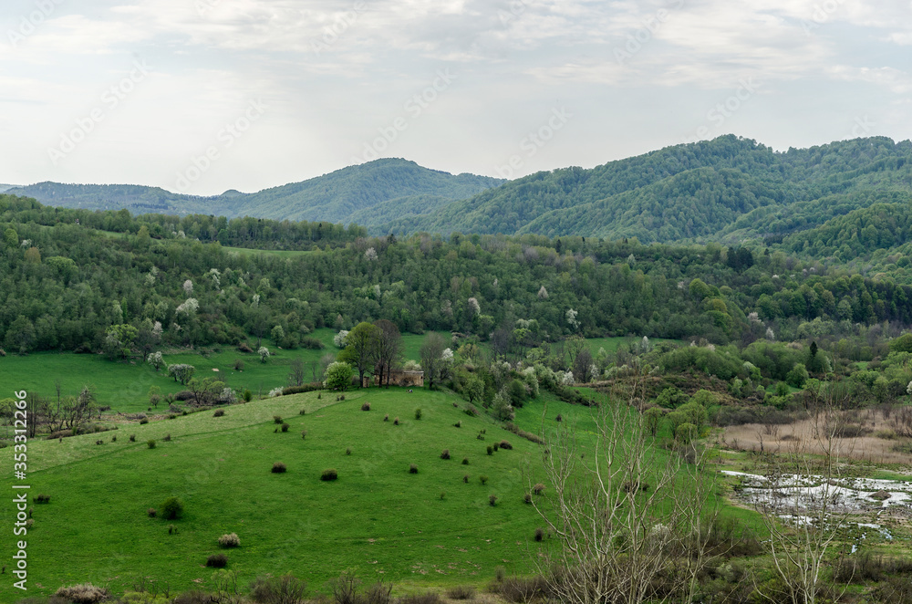 Bieszczady panorama