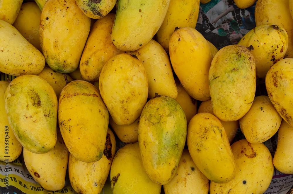 close up yellow mango ripe in thai market close up yellow mango ripe in thai market