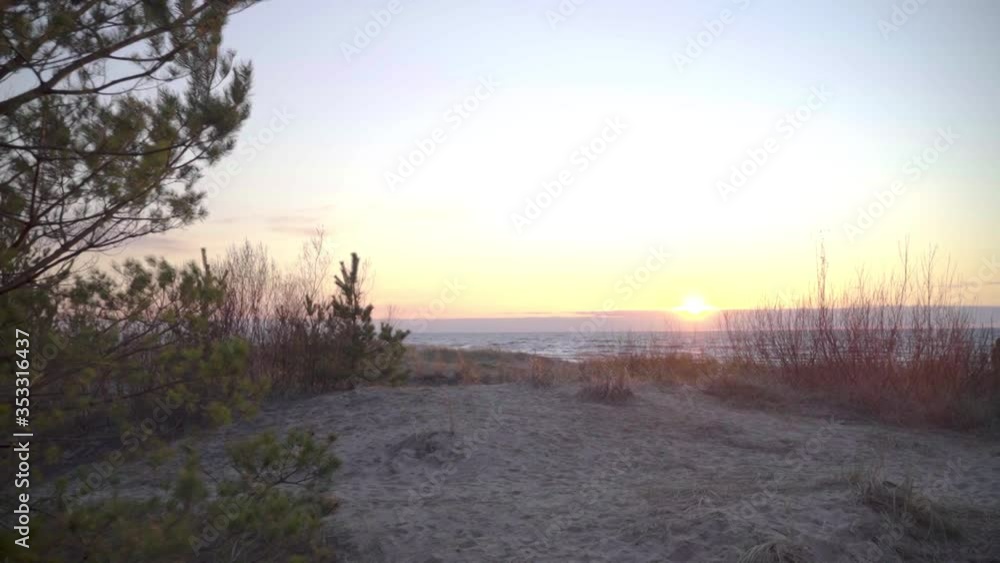 Follow Shot Past Tree On Sandy Lilaste Beach With Golden Yellow Sunset Over The Baltic Sea. Slow Motion Follow Shot Past Tree On Sandy Lilaste Beach With Golden Yellow Sunset Over The Baltic Sea. Slow Motion