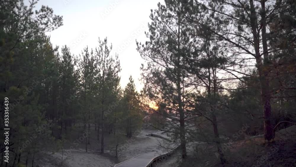 POV Walking On Boardwalk Near Beach With Trees Either Side During Sunset. Follow Shot, Slow Motion POV Walking On Boardwalk Near Beach With Trees Either Side During Sunset. Follow Shot, Slow Motion