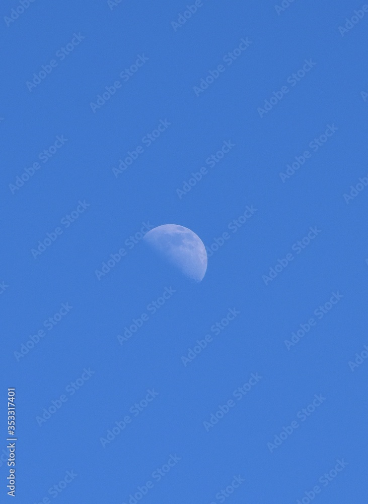 moon moon