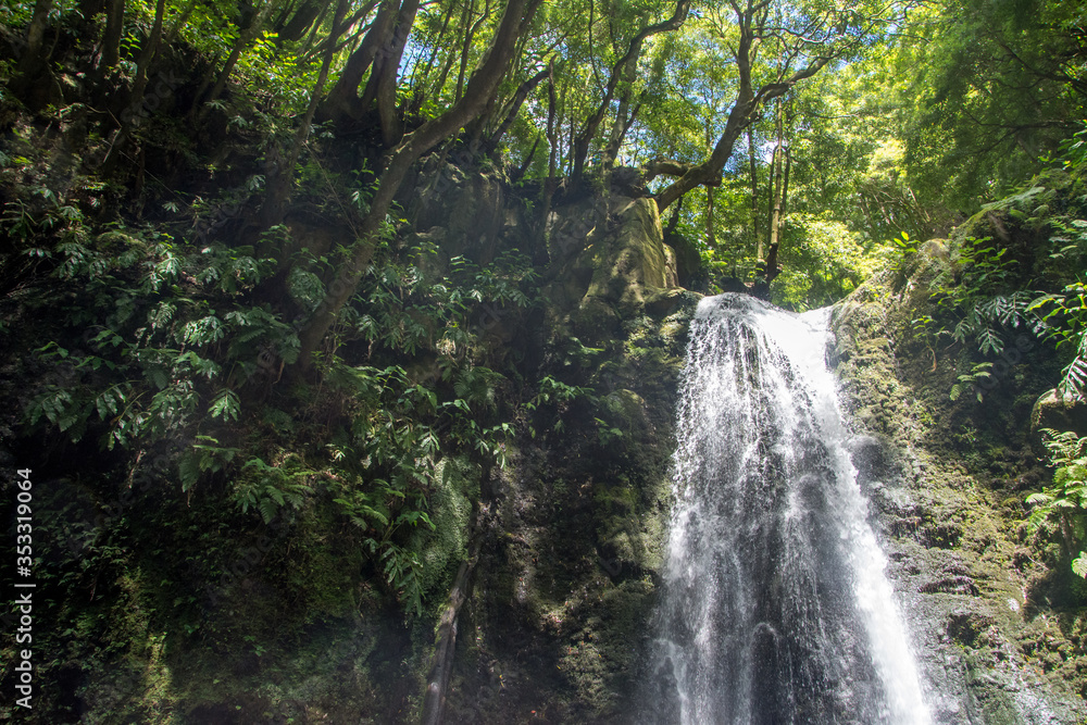 walk and discover the prego salto waterfall on the island of sao miguel, azores