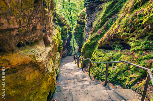 Impressive summer view of trek to  Bastei bridge. Picturesque morning scene of Saxon Switzerland National Park, Germany, Europe. Beauty of nature concept background.