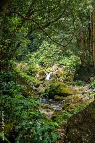 walk and discover the prego salto waterfall on the island of sao miguel, azores