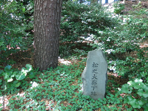 皇居東御苑にある江戸城の松の廊下跡　Site of Matsu-no-o-roka Corridor (The East Gardens of the Imperial Palace) photo