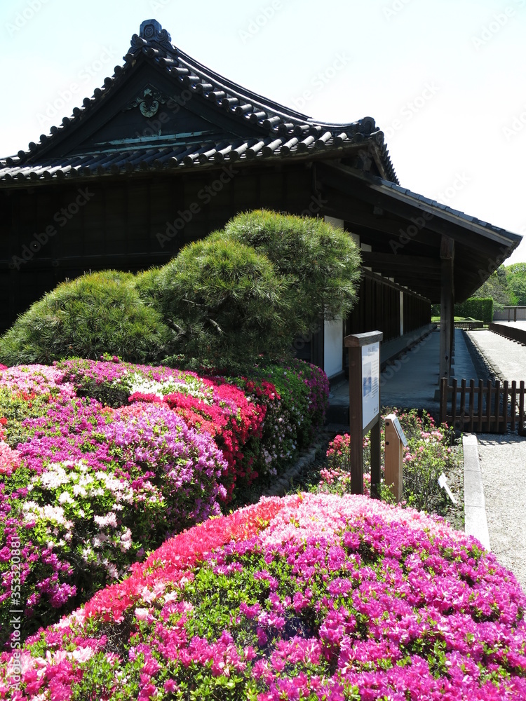 クルメツツジが彩りを添える皇居東御苑の百人番所　Hyakunin-bansho Guardhouse (The East Gardens of the Imperial Palace)